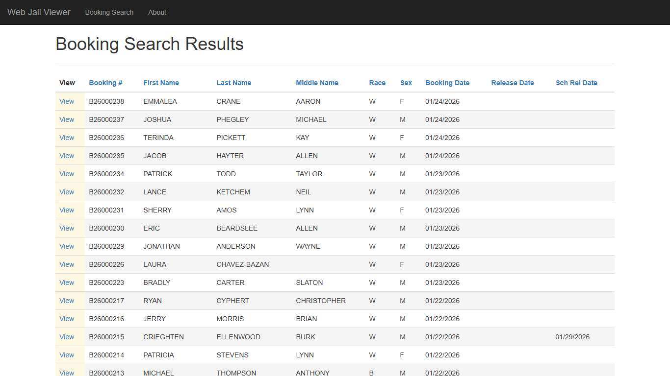 BookingSearchDetail - Web Jail Viewer